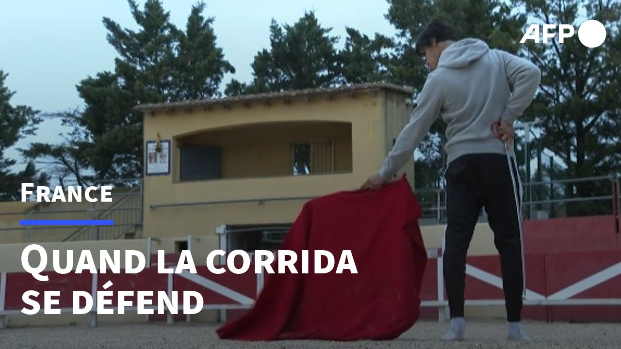 En Camargue, l'inquiétude d'un monde 