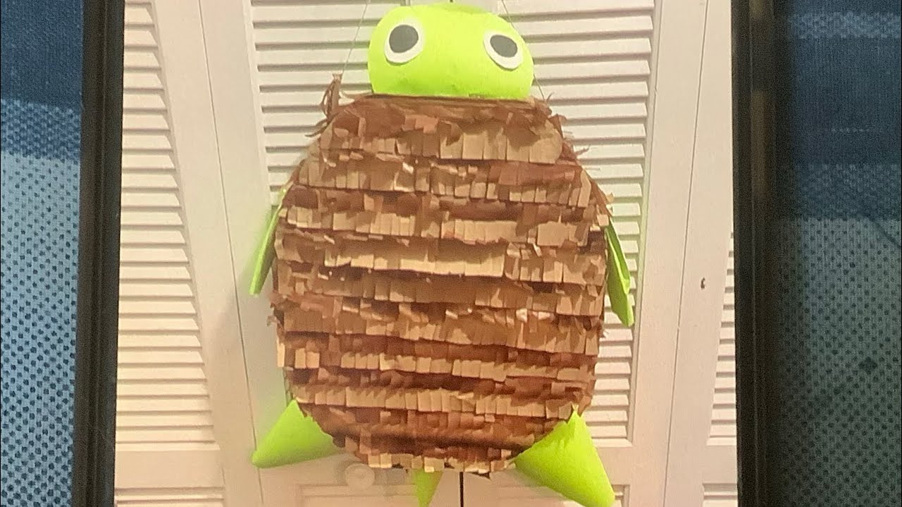 Turtle piñata 🐢