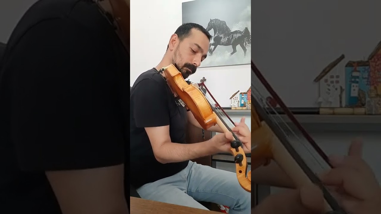 Dino çu keman Hozan dîno çû keman #hozandino