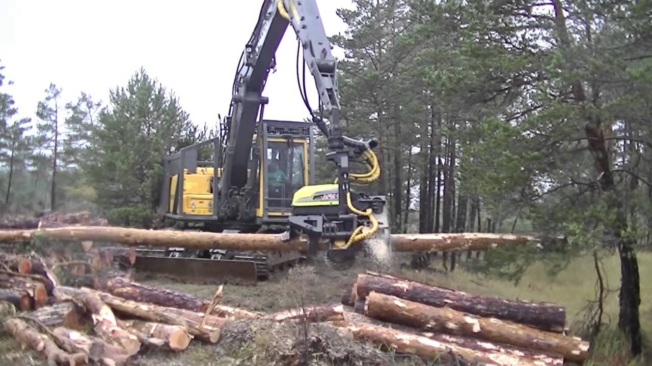 VOLVO EC160 con cabezal AFM 60