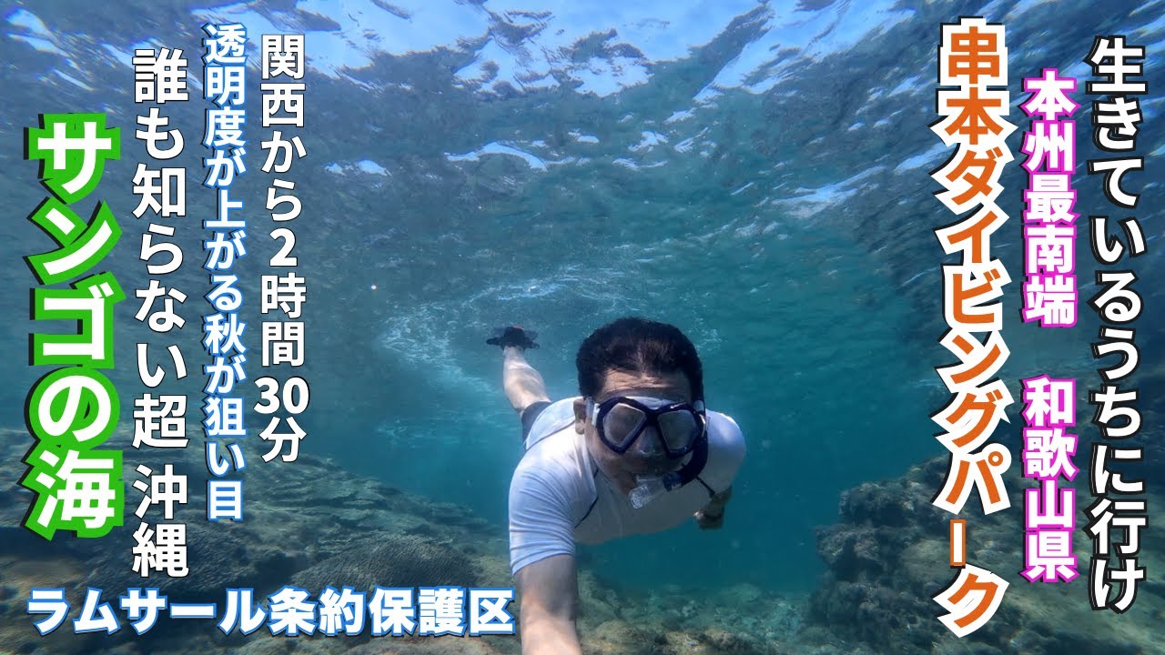 沖縄を超えてる？『クルマで行ける珊瑚の海👍』 本州最南端の楽園　黒潮が育む海へ 　串本シュノーケリングの旅　#串本ダイビングパーク　#シュノーケル 　 #串本海中公園　＃本州最南端