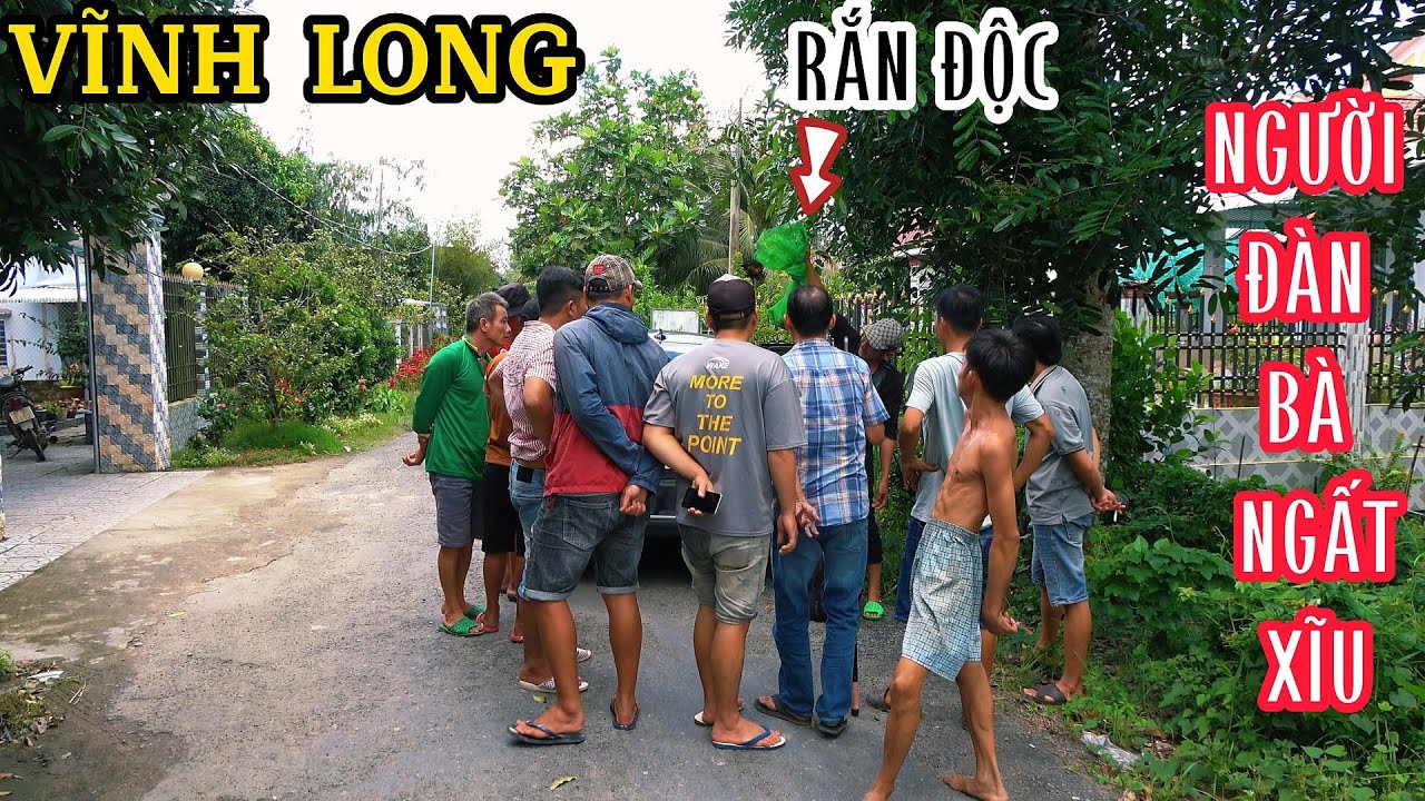 Vĩnh Long - Người Đàn Bà Ngất Xĩu Khi Phát Hiện Rắn Độc Bò Vào Nhà| Mười Thương Săn Bắt