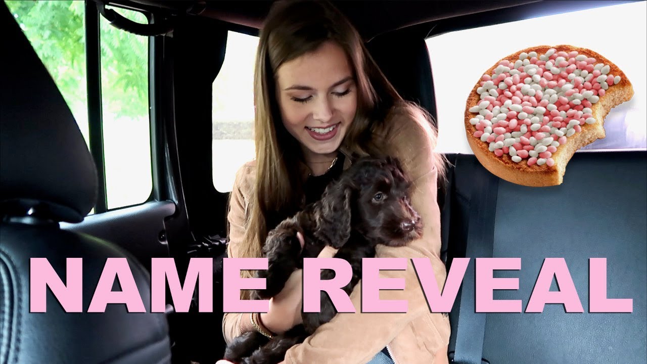 PUPPY OPHALEN & NAME REVEAL - VLOG - A DAY IN MY LIFE