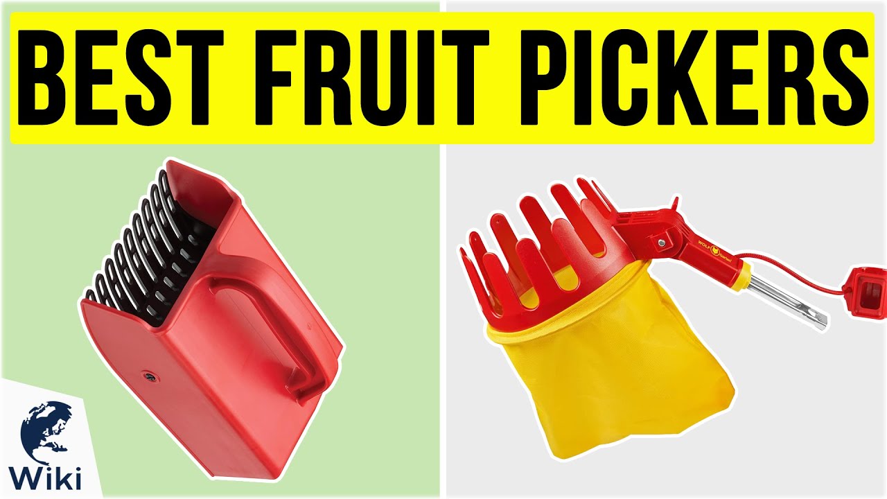 10 Best Fruit Pickers 2020