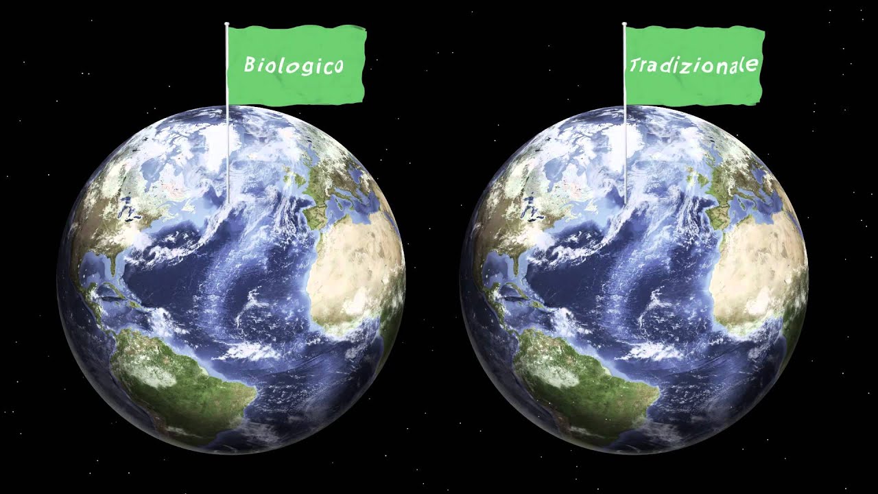 Scoprilo in un minuto: agricoltura biologica e tradizionale