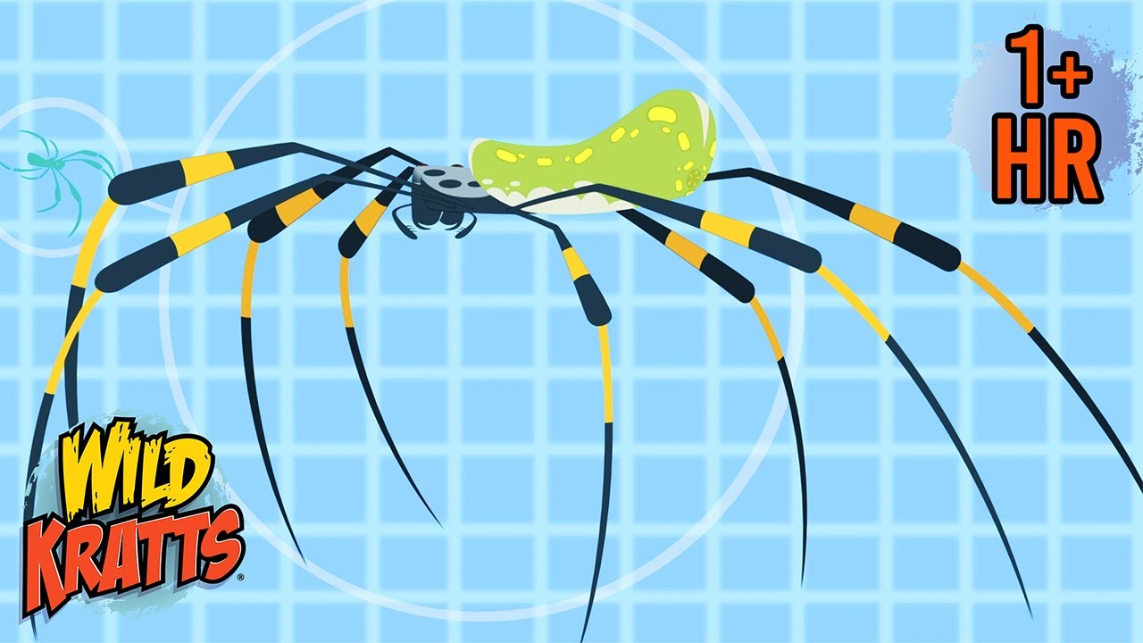 Sticky Web | Bugs and More | Kratt Adventures  | 9 Story Kids