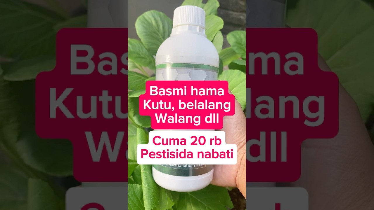 Pestisida nabati pembasmi hama, jamur dan nematoda