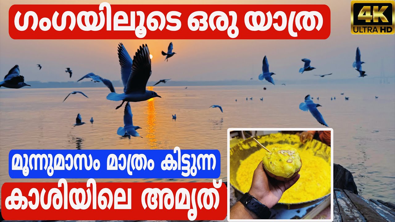 വാരണാസി Part 2 | വാരണാസിയുടെ തനത് രുചി വിഭവങ്ങളും, ഗംഗയിലെ യാത്രയിൽ കാണുന്ന വാരണാസി കാഴ്ചകളും ❤️😍|