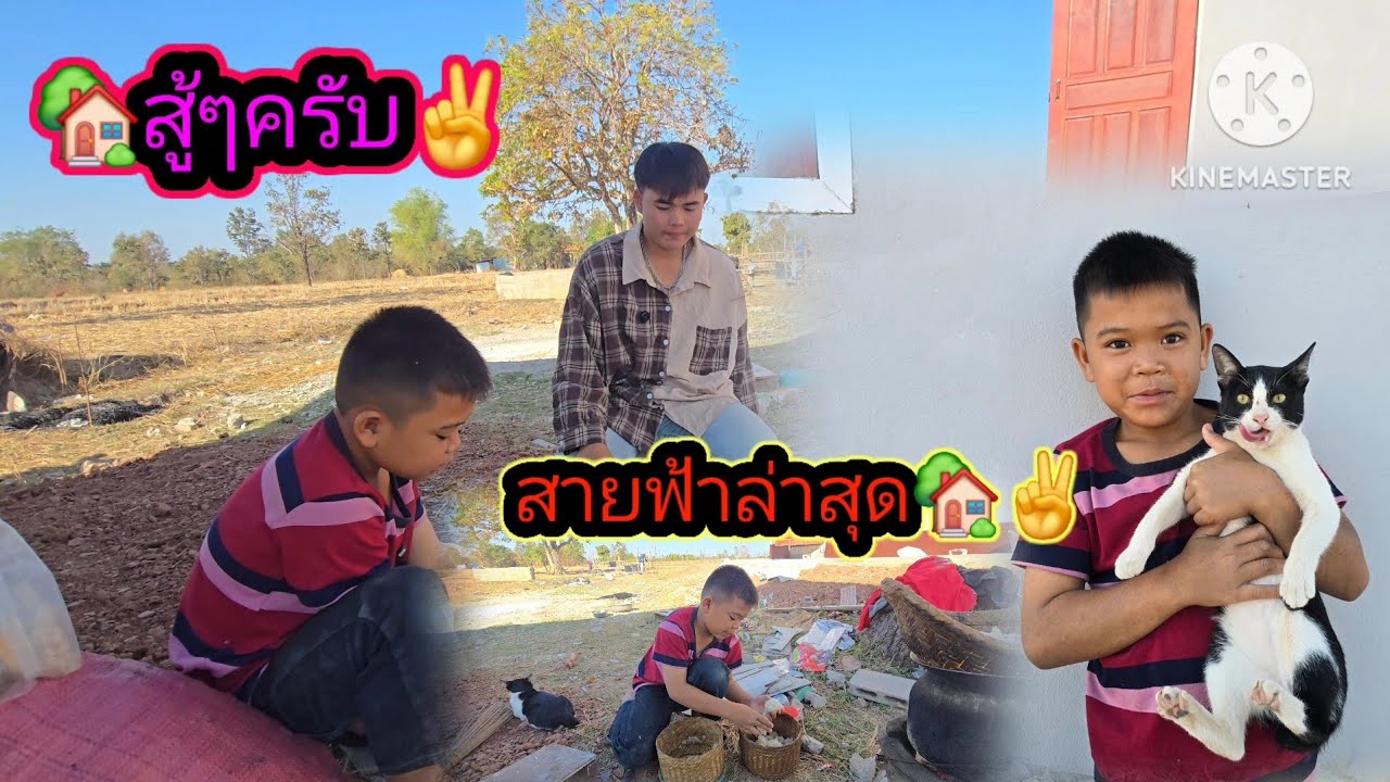 ล่าสุดน้องสายฟ้า.....🏡✌️26 มกราคม ค.ศ. 2026