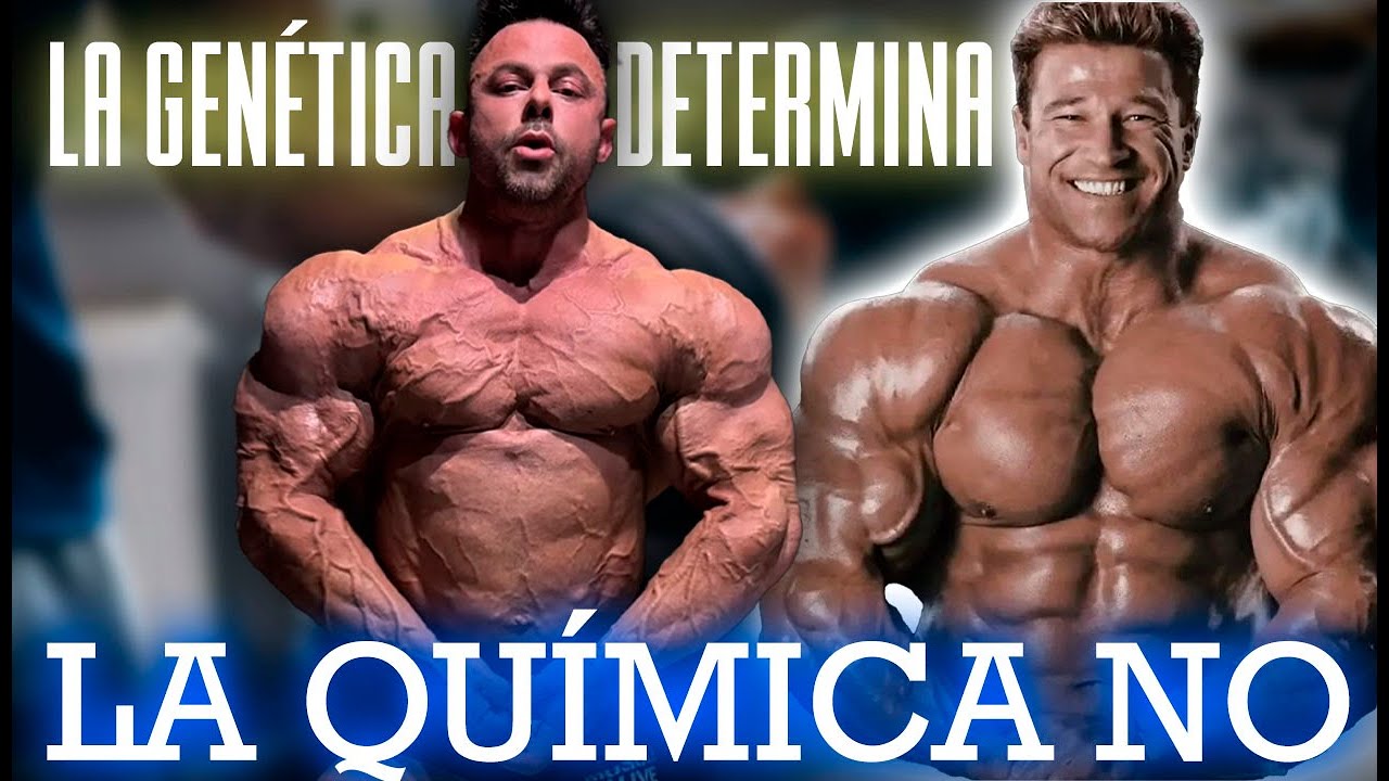 QU&Iacute;MICA VS GEN&Eacute;TICA. ADEFESIOS VS IDEALES EST&Eacute;TICOS