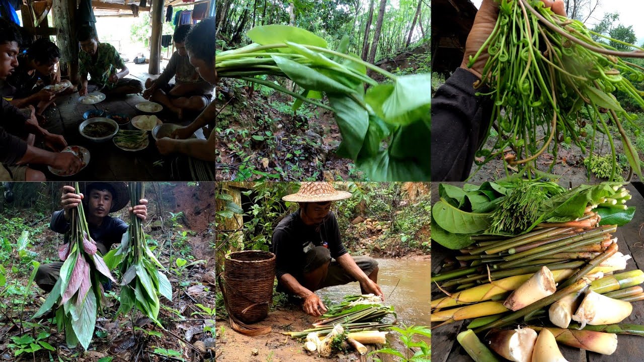 14/6/2024 karen natural food သွ့ဖါအံၣ်ကသူထံ