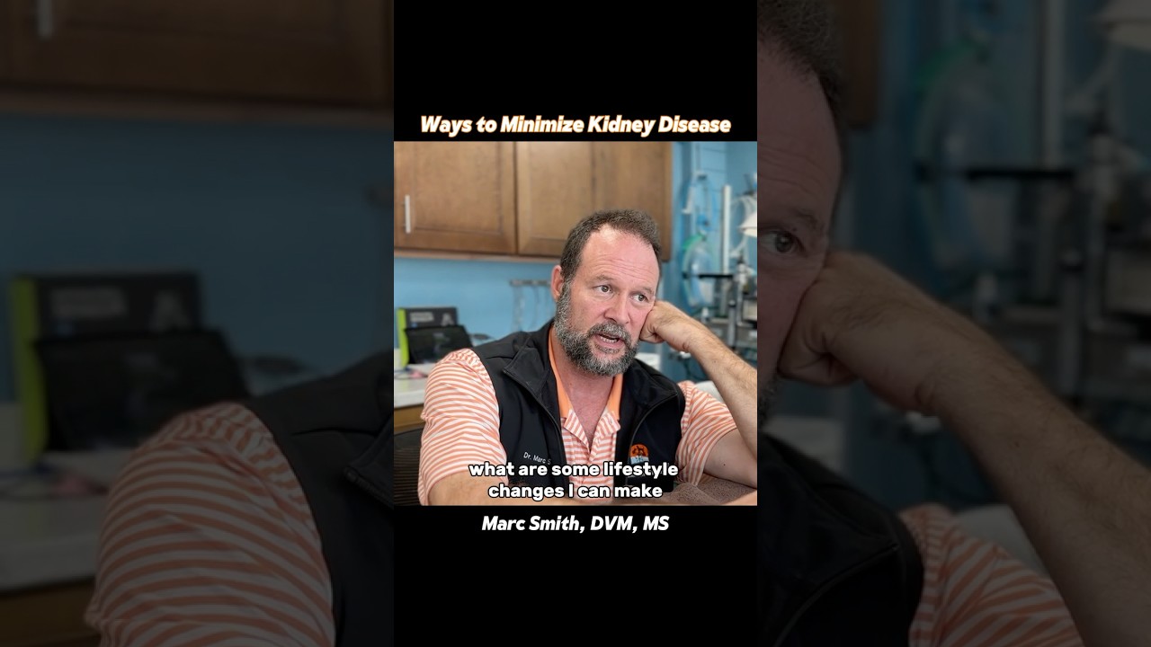 Cat Kidney Disease Prevention Tips with Marc Smith, DVM, MS