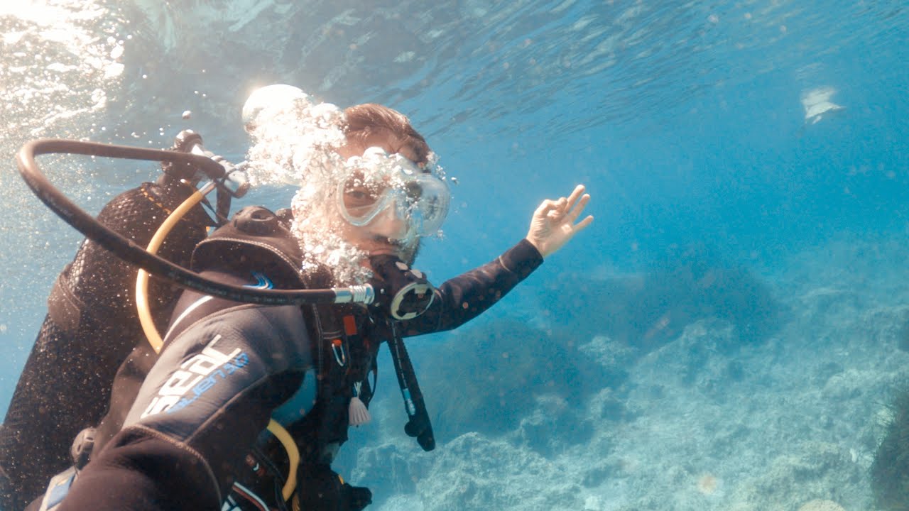 DIVING in Paphos (Pafos) Cyprus | Travel Explore Underwater Adventure | Turtle 4K