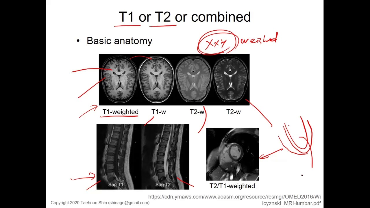 자기공명영상 (MRI) Lecture 00: MRI Introduction