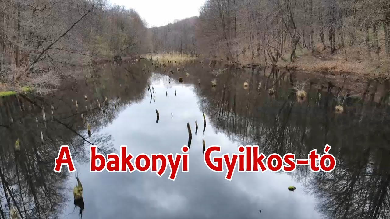 A bakonyi Gyilkos-tó |Hubertlaki-tó, Magyarország