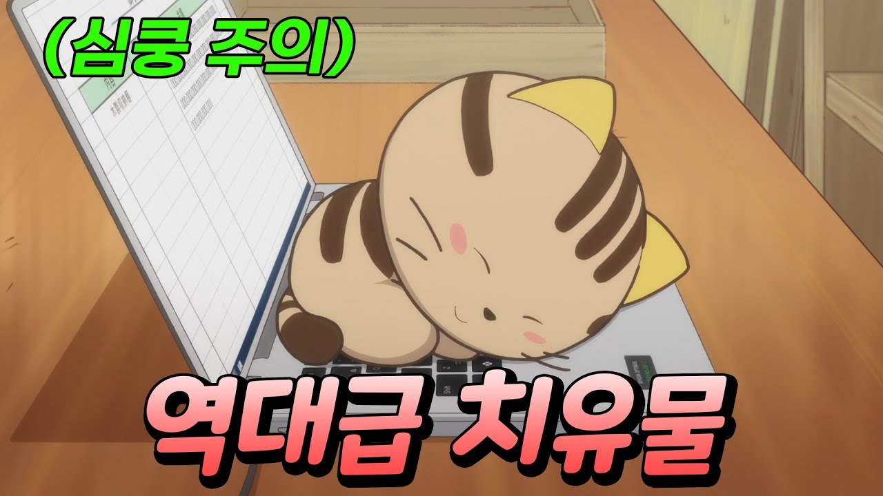 세상 귀여운 