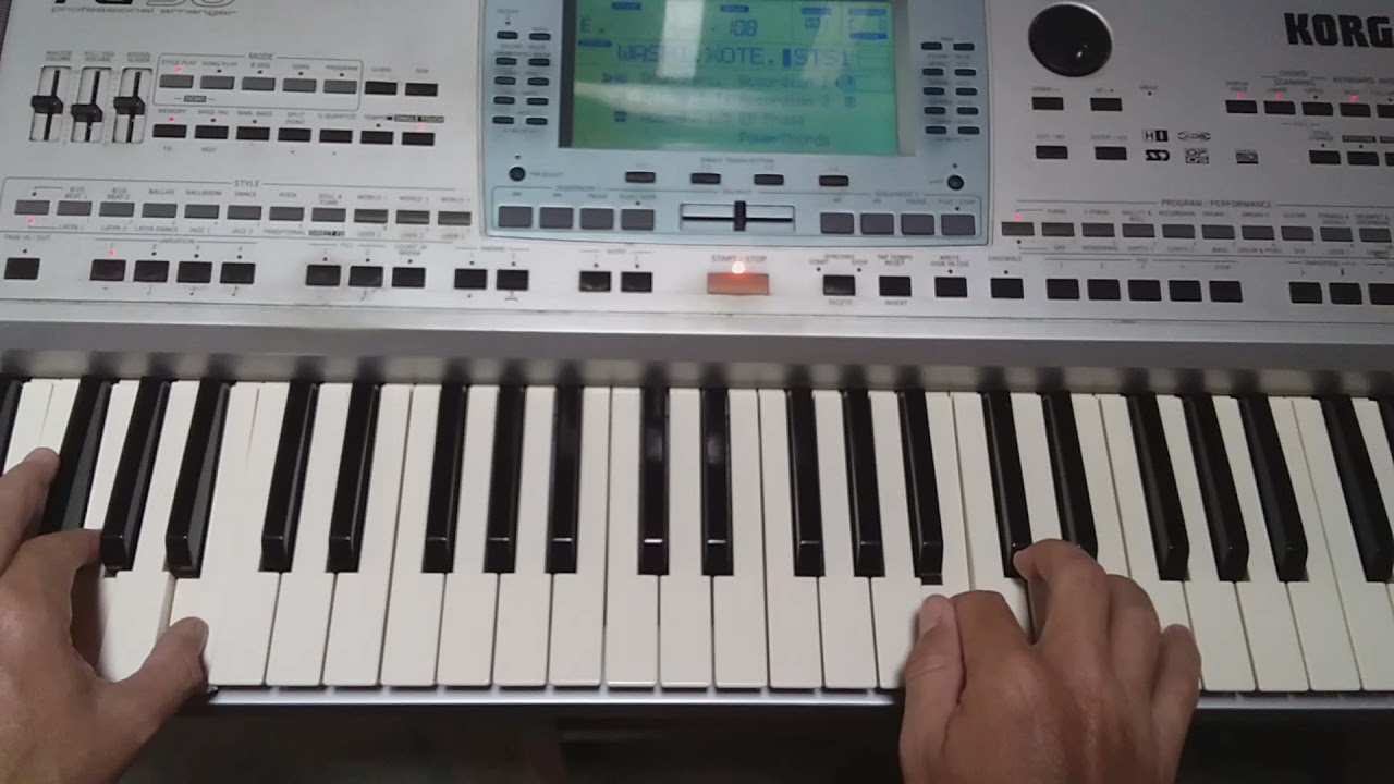 SOLO - BICHO CARPINTEIRO / Contato :  21976865935