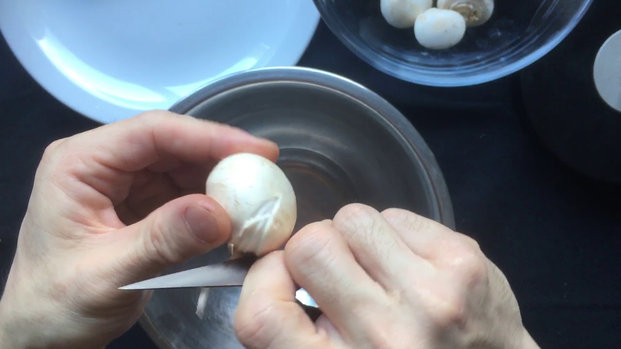 fluted mushroom ,champignon tourné,seta,シャンピニオン,マッシュルーム