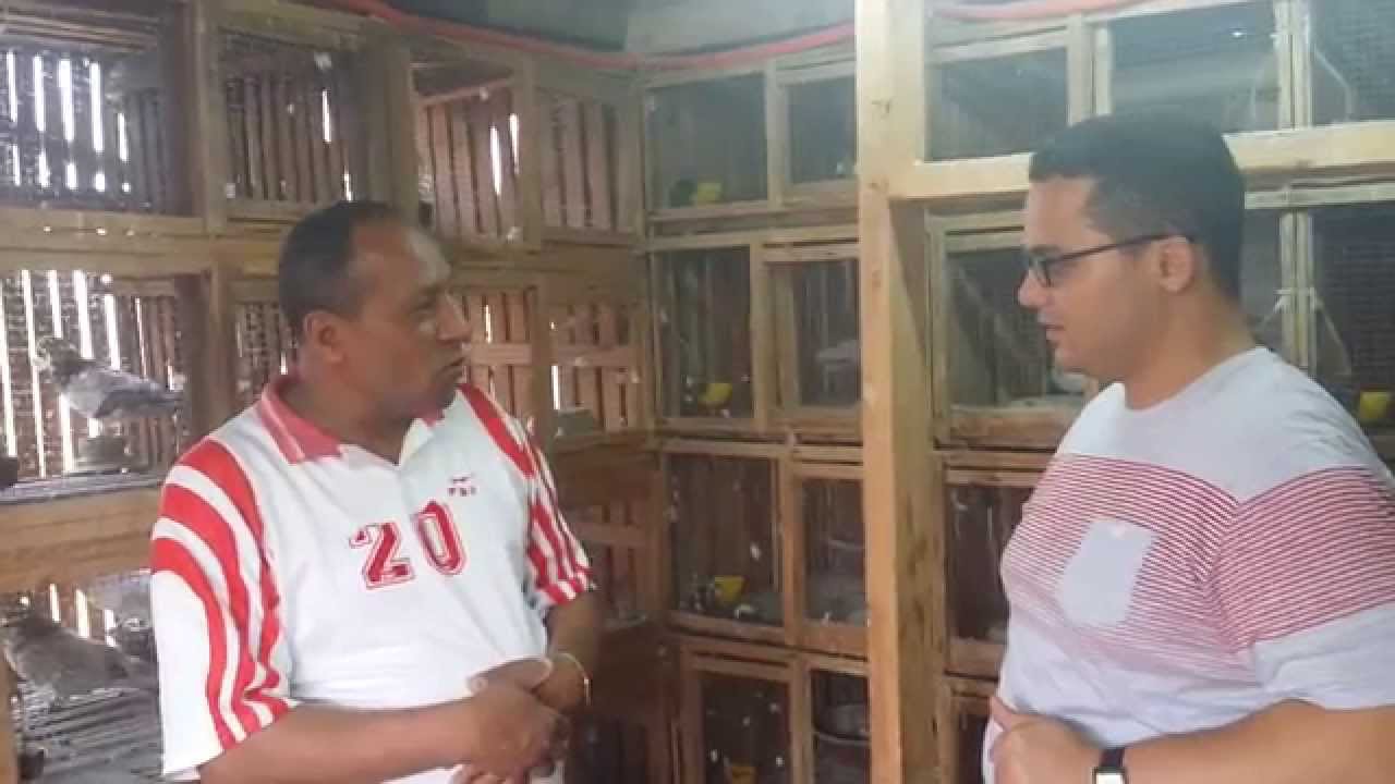 لقائات الحاج شحته شبرا .. 1