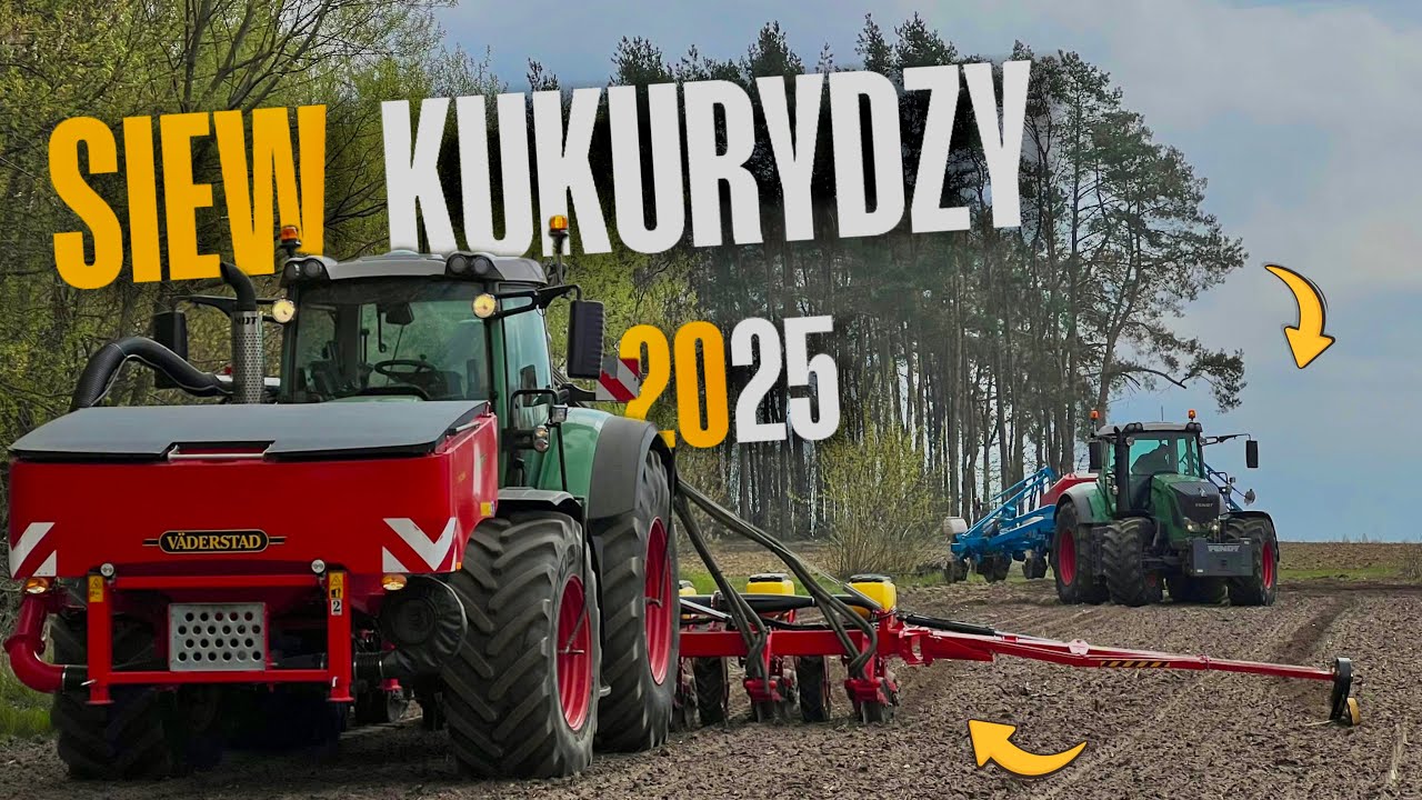 SIEW KUKURYDZY 2025!! | Rogowski Maszyny Rolnicze