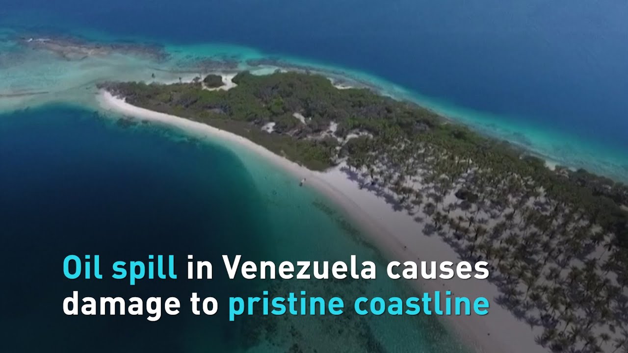 Oil spill in Venezuela causes damage to pristine coastline