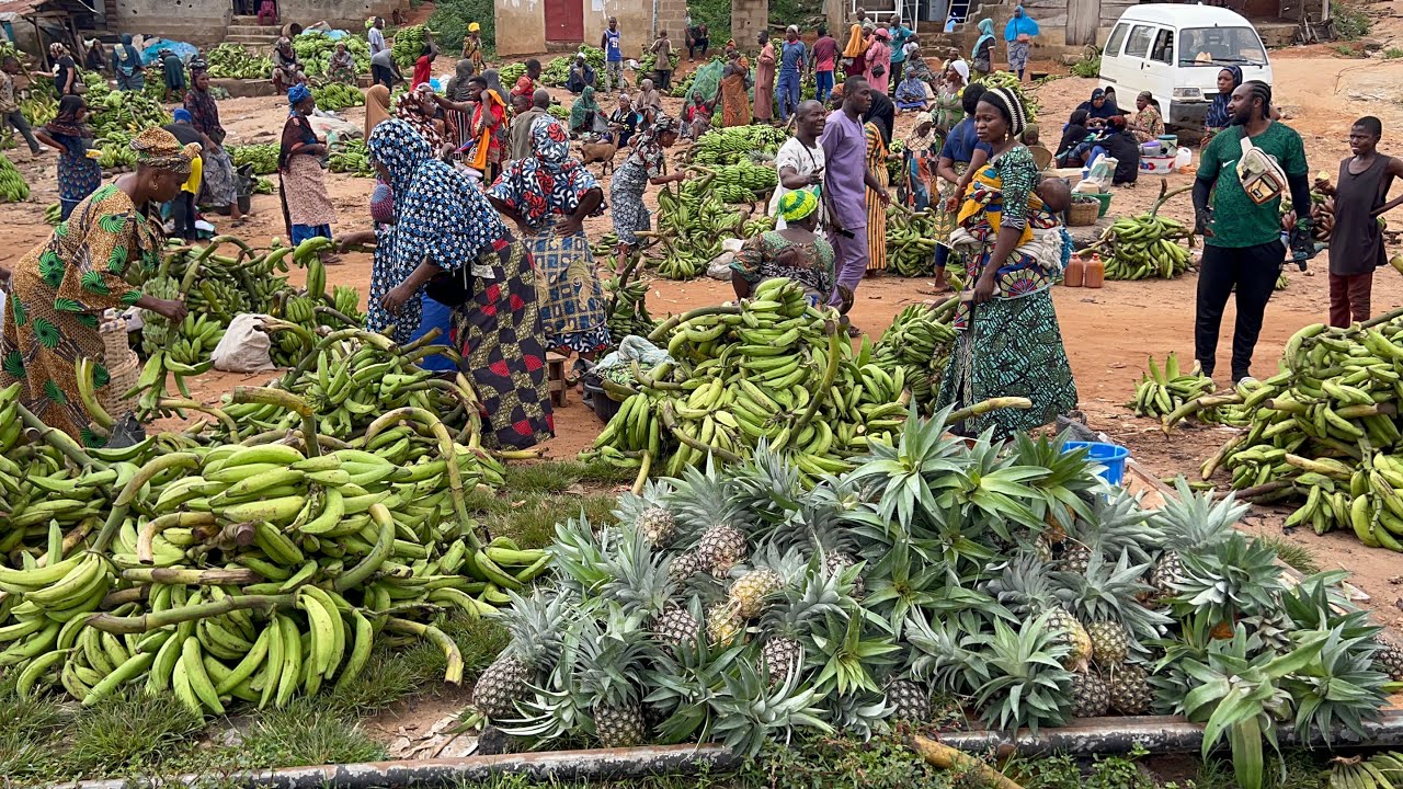 MARKET WOMEN CRY😭 FOR HELP | CHEAPEST & BIGGEST PLANTAIN/BANANA MARKET IN OWENA-IJESA, OSUN-STATE
