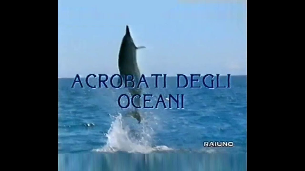 Acrobati degli oceani  