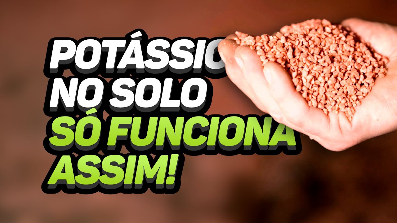 A FORMA CORRETA DE ADUBAR COM POTÁSSIO