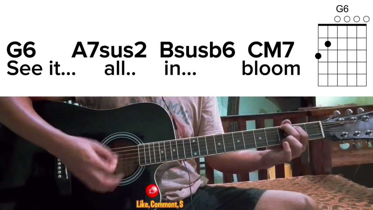 In Bloom guitar chords - Neck Deep (easy chords beginners)