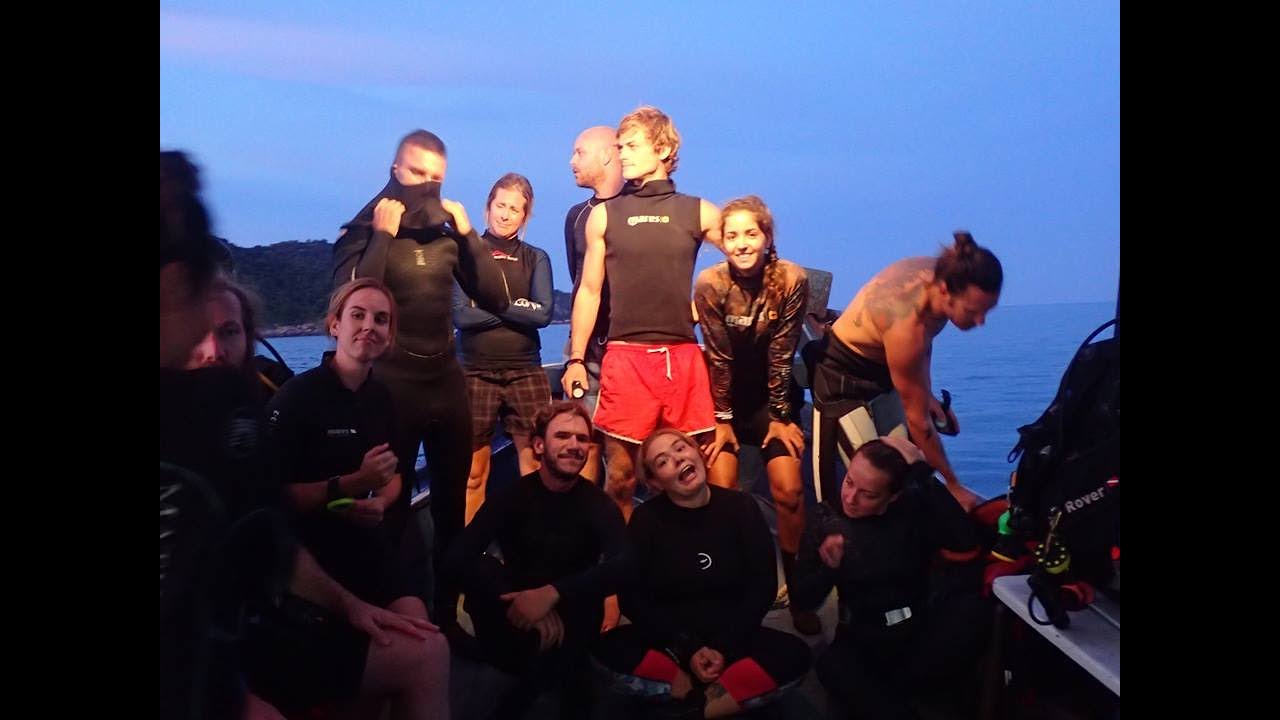Making a career in marine conservation