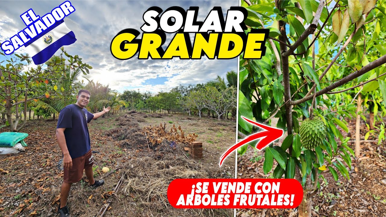 🚨 EN VENTA SOLAR GRANDE DE 660m2 con ARBOLES FRUTALES en AHUACHAPAN 🇸🇻 ¡PRECIO NEGOCIABLE! 🤑