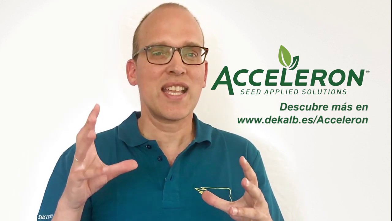 Acceleron: Blinda tu maíz desde el inicio maximizando tu producción