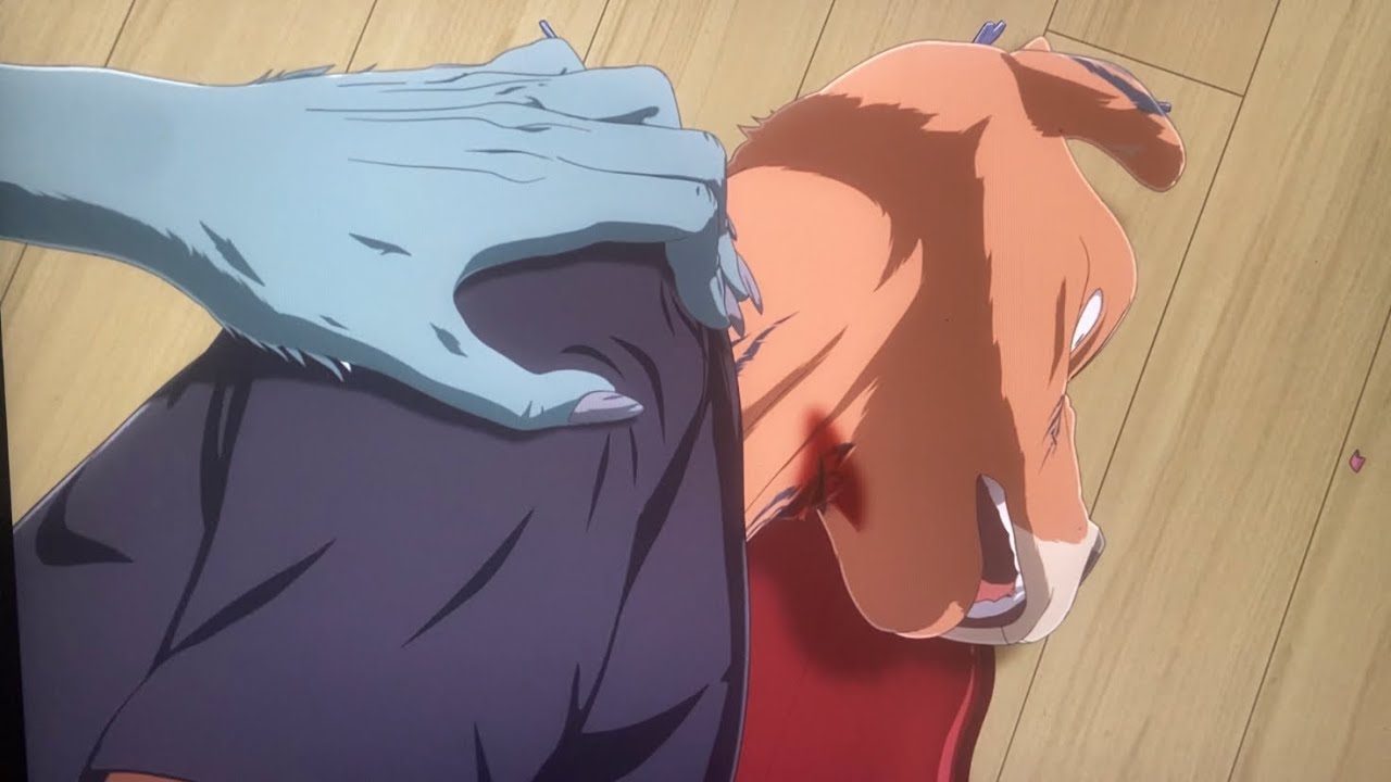 Legoshi gets accused of murder