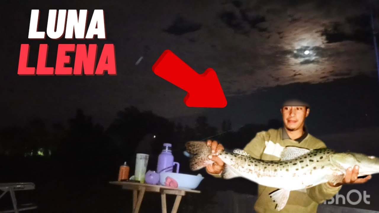 RIO LUJAN DE NOCHE EXPLOTA DE PECES 