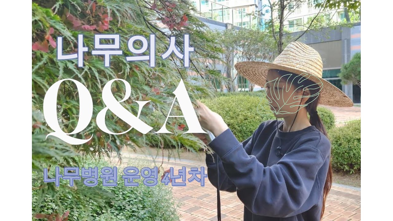 나무병원, 나무의사 댓글 Q&A / 현실 / 브이로그