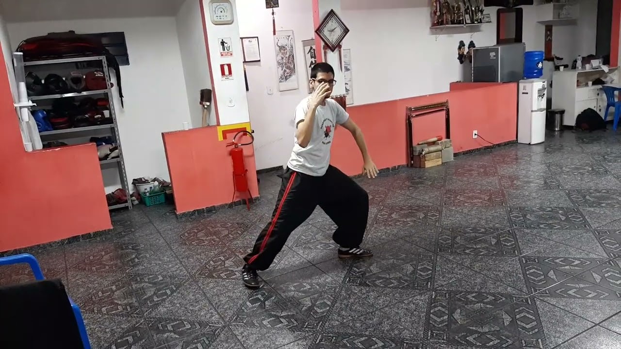 Um pedaço da rotina de Tai Chi tradicional de Gu RuZhang.