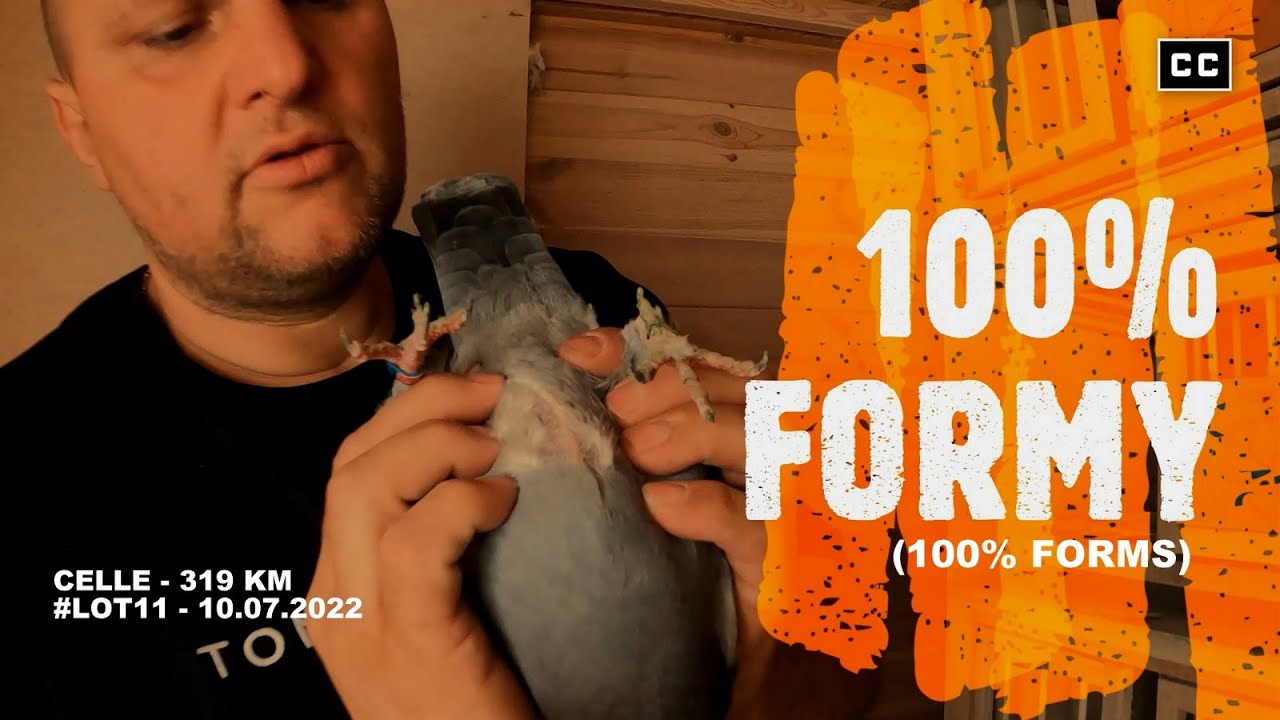 #ЛОТ11 - 07.10.2022 🏁 100% ФОРМА! 🔥 Збигнев Родак ПЖГП 0309 Щецин