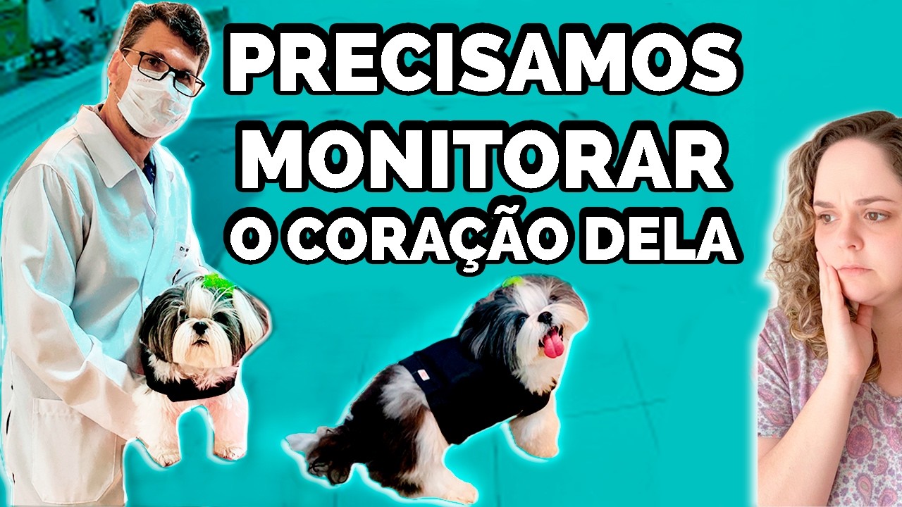 HOLTER 24H EM CACHORRO: INSTALAMOS O MONITOR CARDÍACO PARA ENTENDER OS DESMAIOS DA MELLY