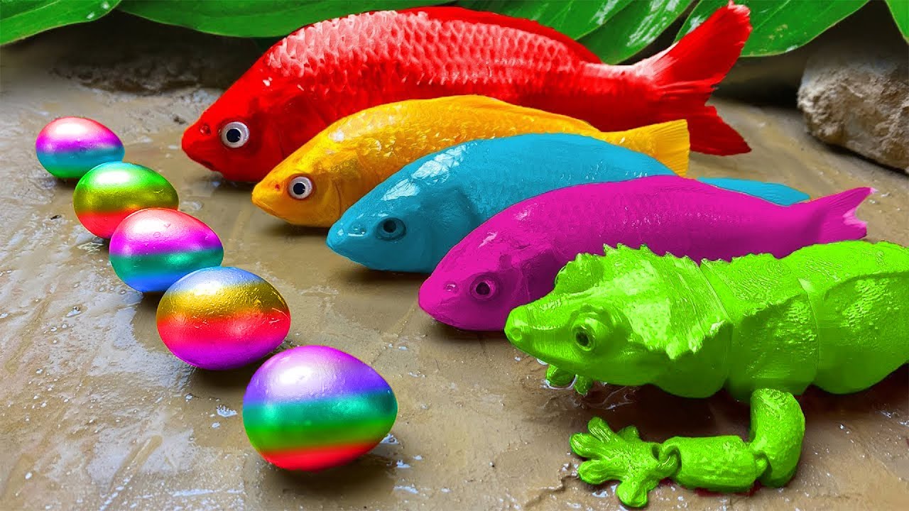 Tangkap ikan akuarium cantik di kolam kecil seperti bayi, ikan pensil, guppy, gurita, ikan molly