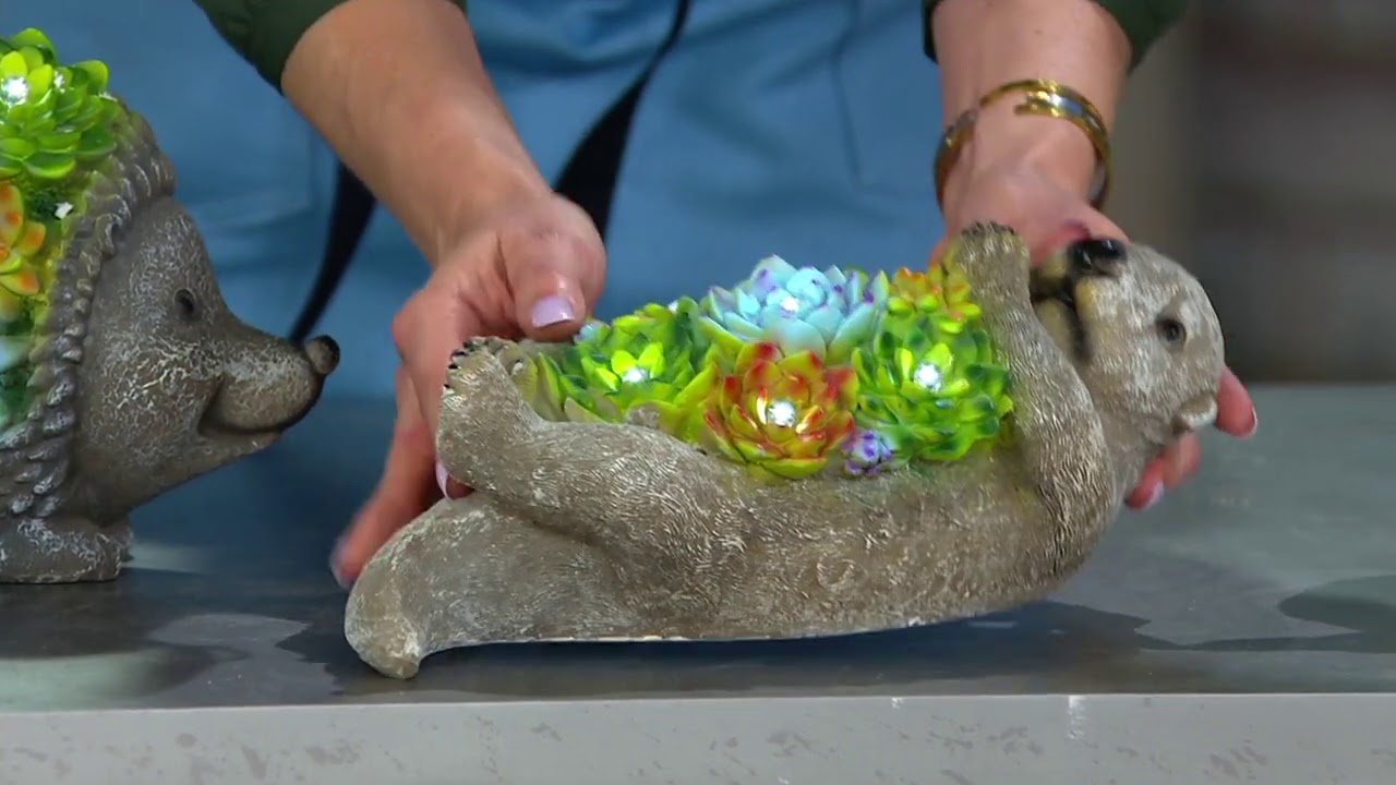 Plow & Hearth Solar Resin Lit Succulent Animal Statuary on QVC