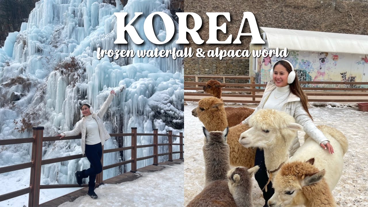 KOREA • Gugok's Frozen Waterfall & Alpaca World (MUST VISIT) ❄️🦙| Lexy Rodriguez