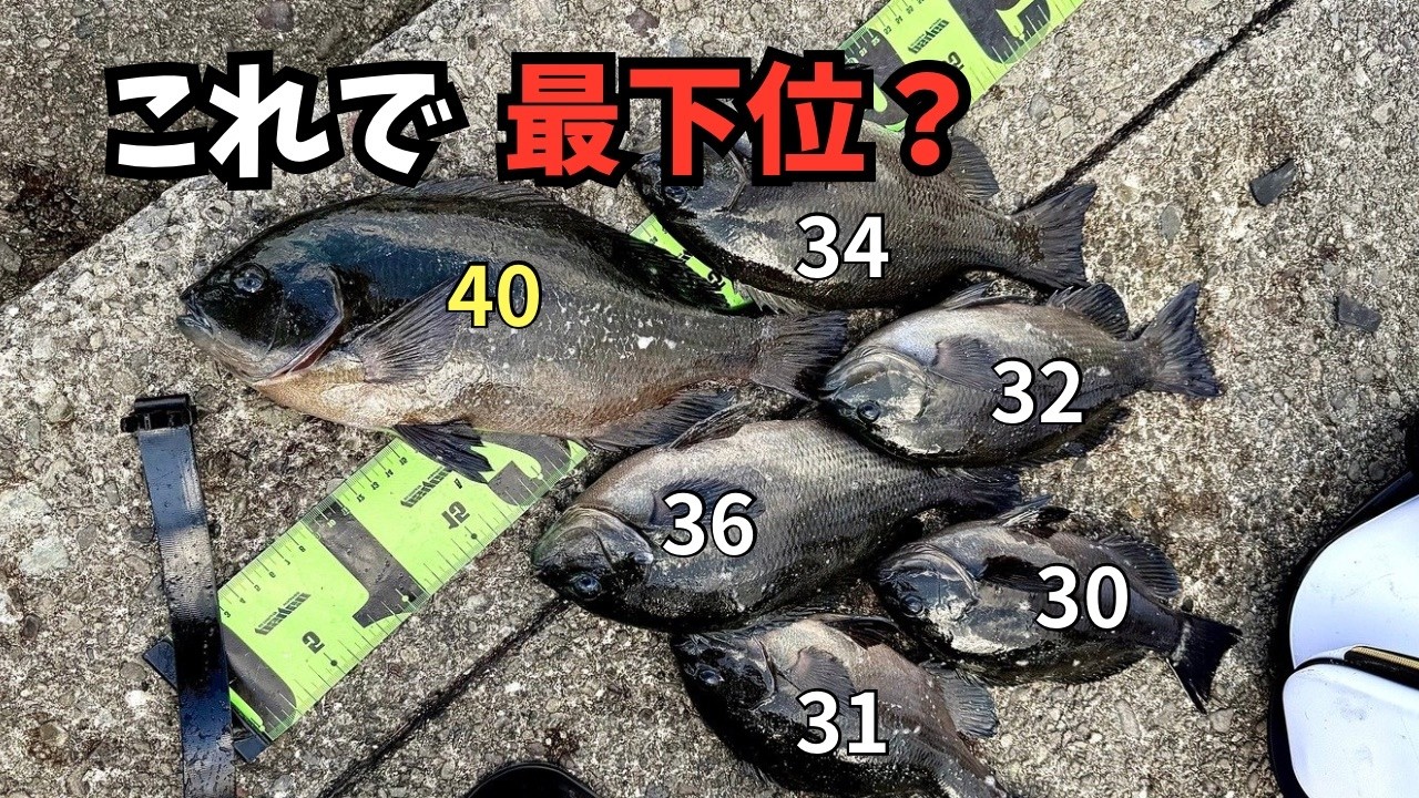 【修羅の国】命懸けの磯で味わった屈辱