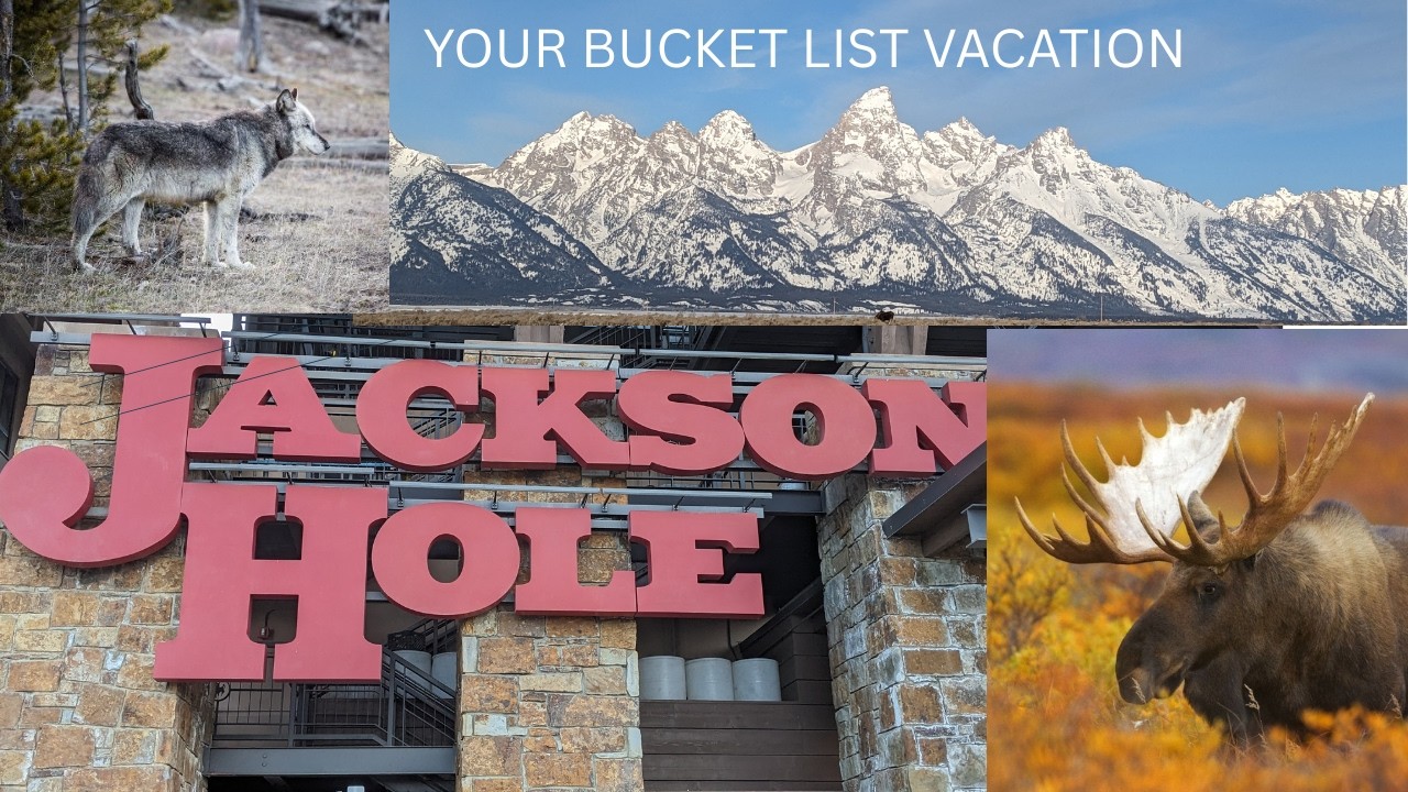Jackson Hole Ski Vacation Guide 🏔️ Wildlife, Legendary Skiing & Luxury Lodging in Wyoming