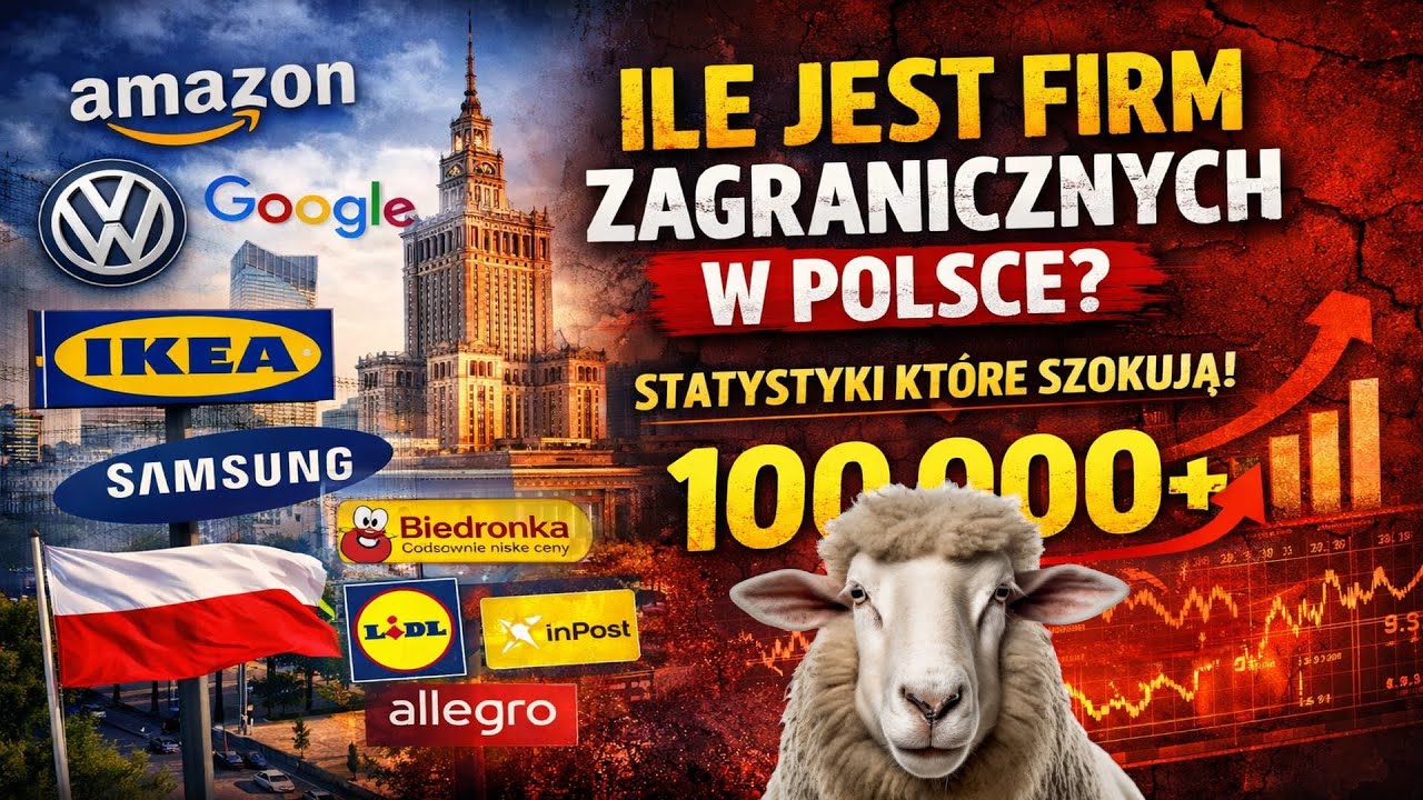Ile jest zagranicznych firm w Polsce? | Statystyki kt&oacute;re szokują!