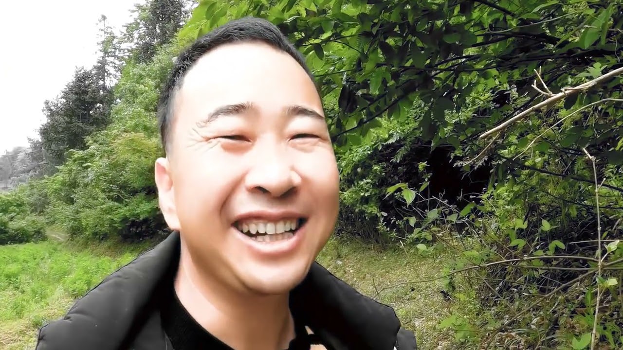 玉平上山挖野生黄精，并带朋友们看两种药材的区别！ #采药人 #黄精 #药用植6 物