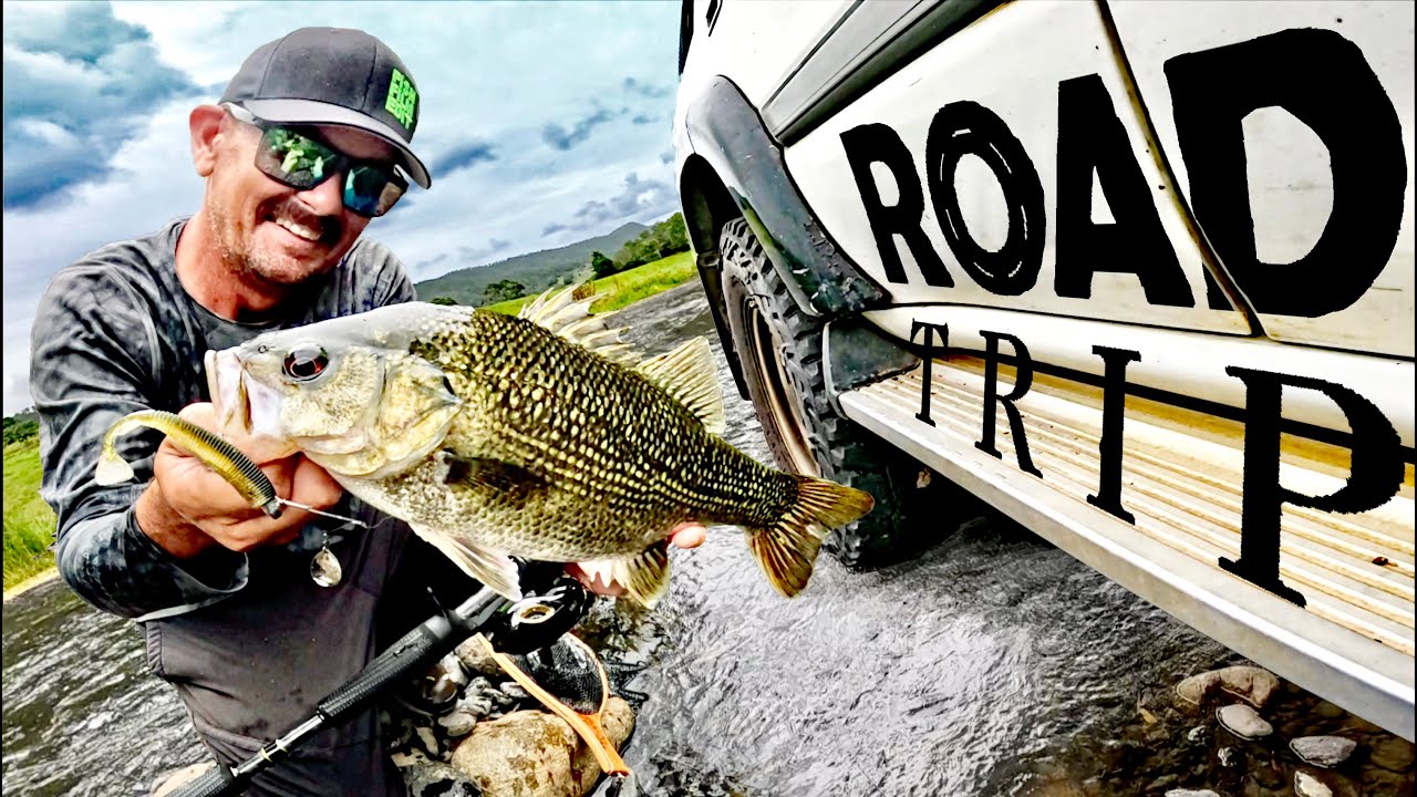 Fishing The BEST Bass Creeks On The EAST COAST.