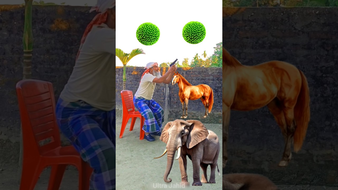 Tiger, Lion, Horse & Elephant - Animals names magic video to deep green kadambas rounding