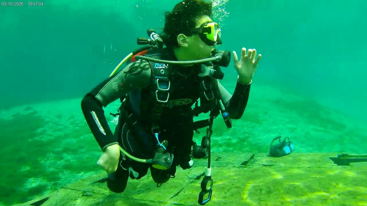 Morrison's Spring Dive training