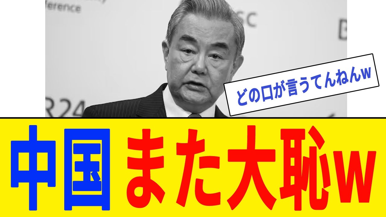 【衝撃】中国さん、ドイツで日本をナチス呼ばわりした結果www