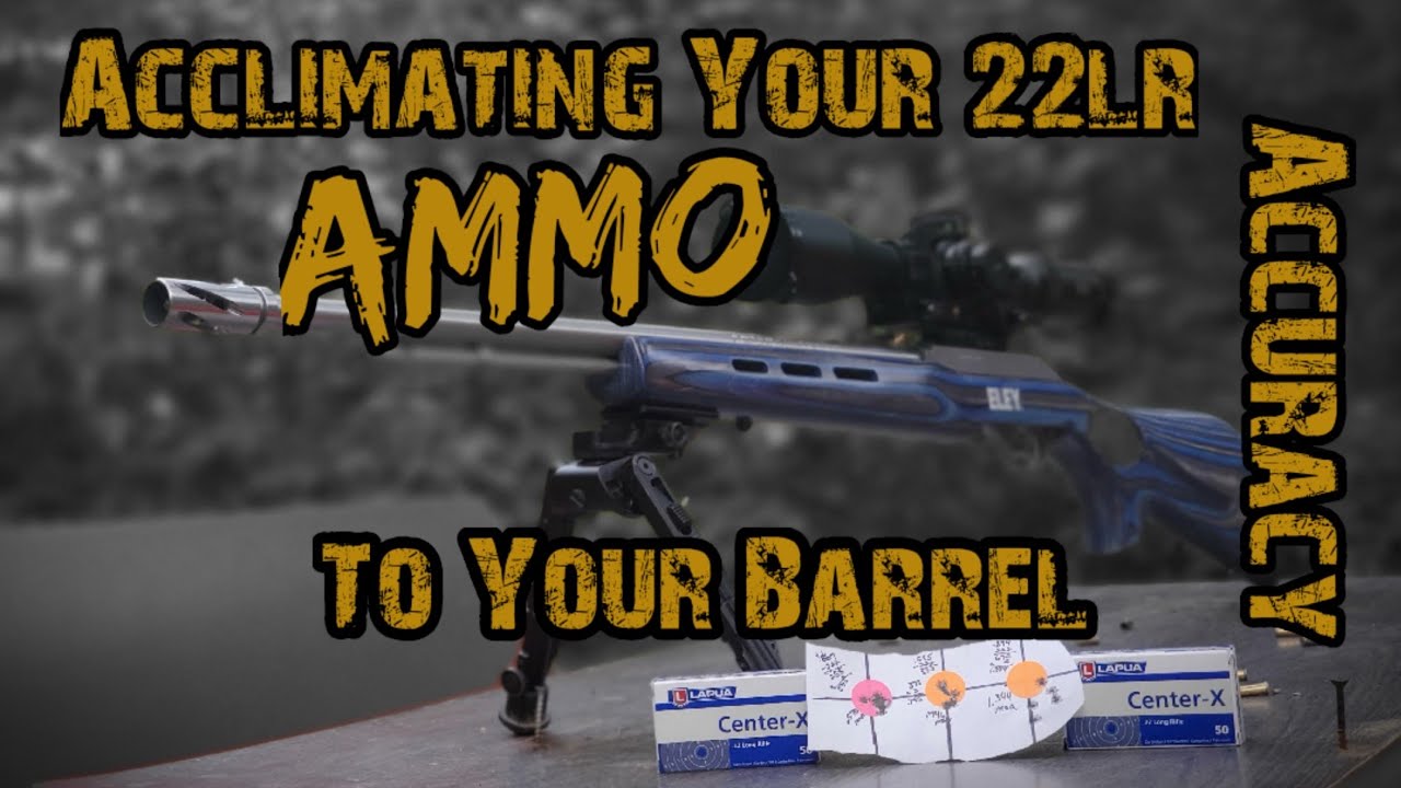 Адаптация/привыкание вашего 22LR к вашим боеприпасам